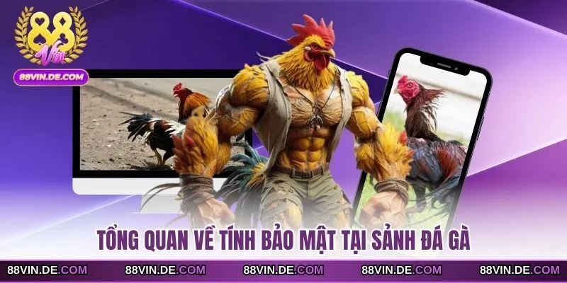 Tổng quan về tính bảo mật tại sảnh đá gà